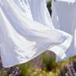 My Laundry Has Never Smelt This Fresh: one Natural Ingredient I Add to My Washing Machine